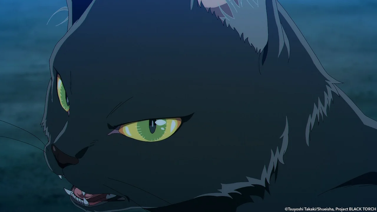 Rago en su forma de gato negro mirando de frente en el anime Black Torch